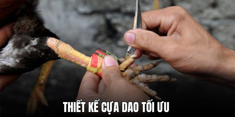 Thiết kế cựa dao tối ưu cho mỗi trận đấu đầy hồi hộp